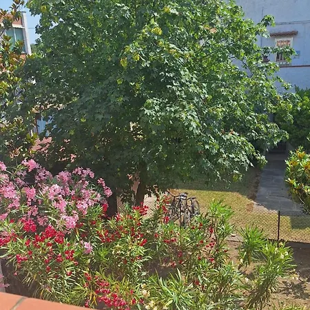 Iris Apartment-trilocale Vistamare, 50 M Dalla Lido delle Nazioni