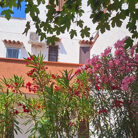 Iris Apartment-trilocale Vistamare, 50 M Dalla * Lido delle Nazioni