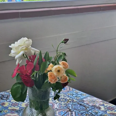 Iris Apartment-trilocale Vistamare, 50 M Dalla * Lido delle Nazioni