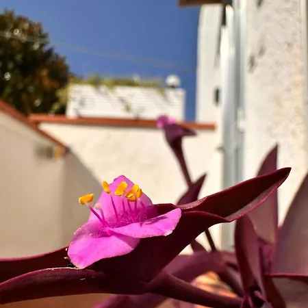 Iris Apartment-trilocale Vistamare, 50 M Dalla Апартаменты *