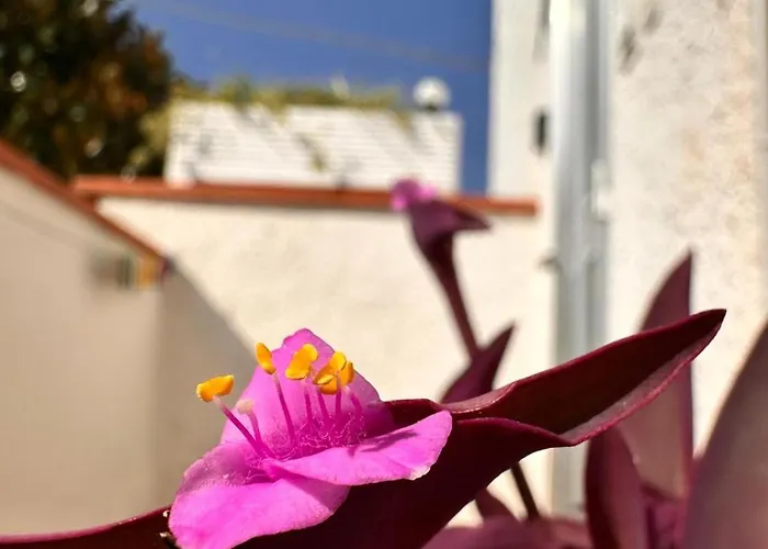 Iris Apartment-trilocale Vistamare, 50 M Dalla Lejlighed *
